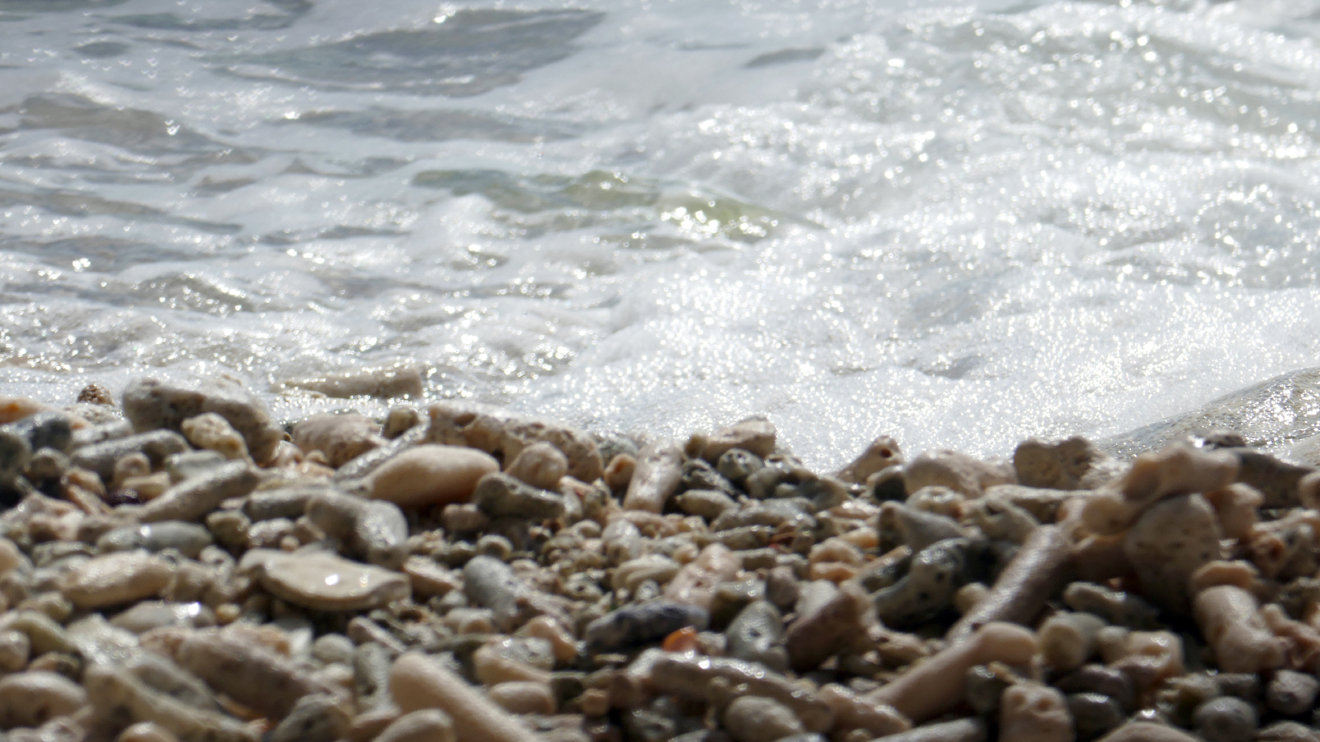 2022-10-29 13 Uhr 27 Playa Kalki (Foto, Video)